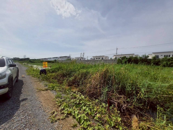 ขายด่วนที่ดินซอยวัดคลองตาคล้าย 128 ตรว ติดถนนสาธารณะ อ.ไทรน้อย จ.นนทบุรี