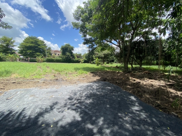 ขายที่ดินอำเภอเมืองแม่เหียะ) จังหวีดเชียงใหม่ 1-0-16 ตรว 7.5 ล้าน