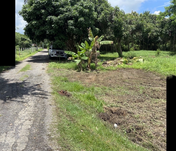 ขายที่ดินอำเภอเมืองแม่เหียะ) จังหวีดเชียงใหม่ 1-0-16 ตรว 7.5 ล้าน