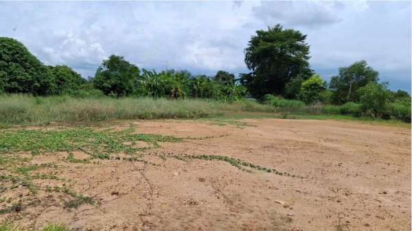 ขายที่ถมแล้ว ขายถูก ใกล้ถนนทางหลวง 3025  ท่าข้าม-สระสี่เหลี่ยม ) เนื้อที่  200  ตรว. ต.ท่าข้าม อ.พนัสนิคม จ.ชลบุรี