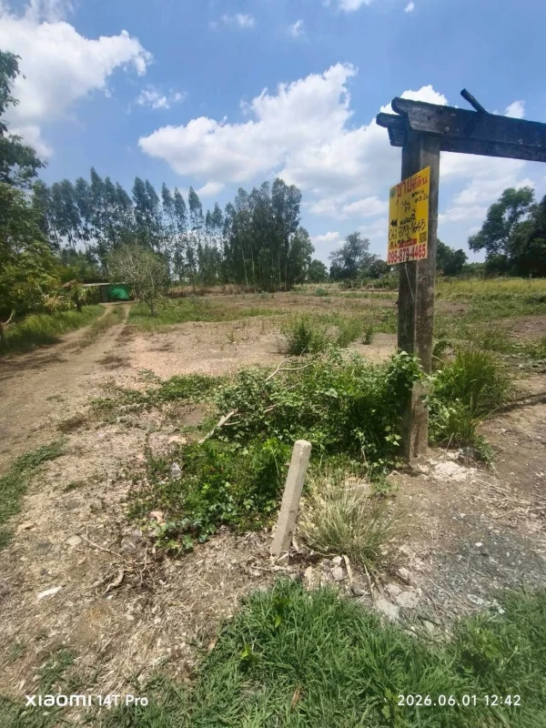 ขายด่วนที่ดิน 400 ตรว ติดถนนสาธารณะ ถมแล้ว ซ.คลองหก ตอ.26 คลองหลวง ปทุมธานี