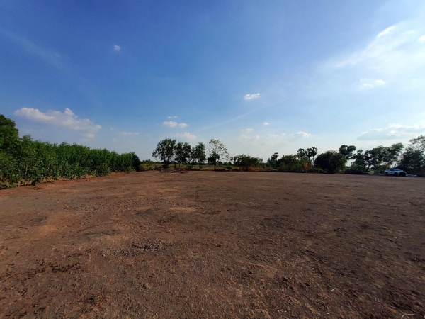 ขายที่ดินคลองห้า 2 ไร่ แปลงมุม ถมแล้ว ติดถนนคอนกรีต ซอย กลั่นกรอง อ.คลองหลวง จ.ปทุมธานี