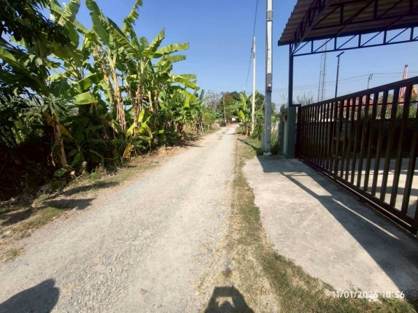 ขายด่วนที่ดินซอยวัดบางม่วง 50 ตรว ติดถนนสาธารณะ ถมแล้ว อ.บางใหญ่ จ.นนทบุรี