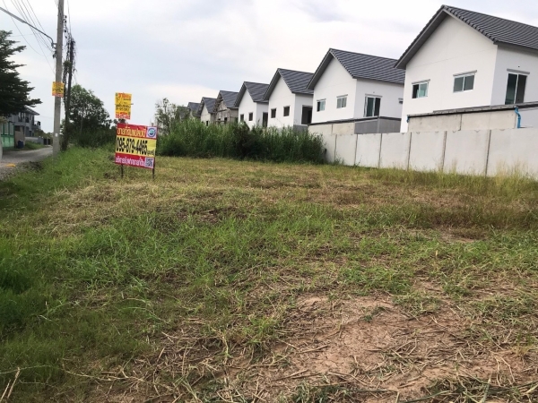 ขายด่วน ที่ดินคลองสอง 180 ตร.ว ติดถนนสาธารณะ ถมแล้วทั้งแปลง  ซ.บงกช 32 อ.คลองหลวง จ.ปทุมธานี