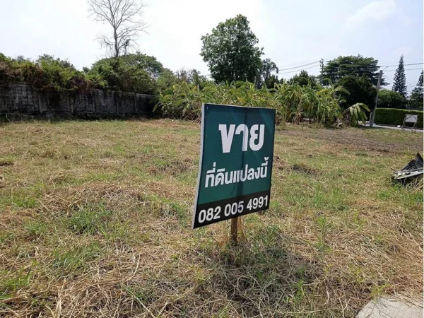 ขายที่ดินในหมู่บ้านเนเบอร์โฮม ทำเลสุขาภิบาล5