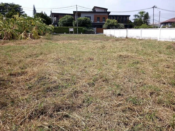 ขายที่ดินในหมู่บ้านเนเบอร์โฮม ทำเลสุขาภิบาล5