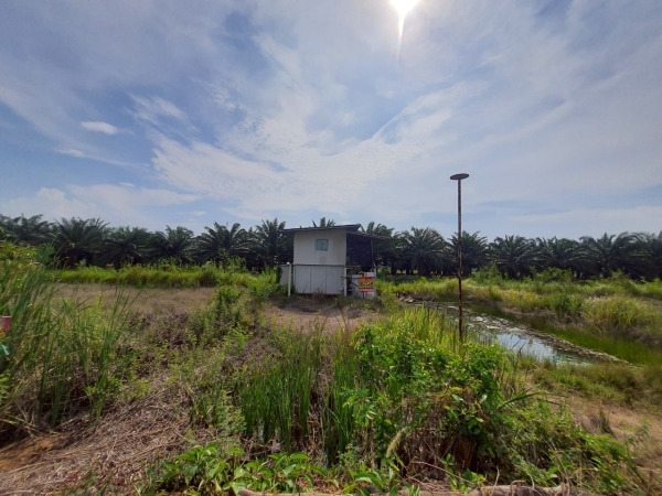 ขายถูกที่สุด ที่ดินพร้อมบ้านสวน 100 ตารางวา ใกล้วัดคลอง 24  ต.หัวกระบือ อ.องครักษ์ จ.นครนายก