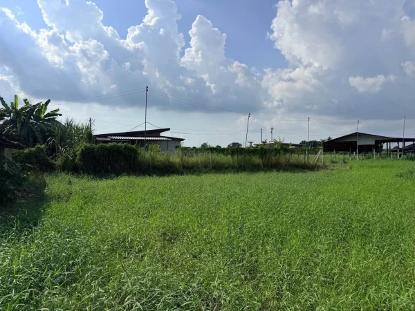 ขายด่วนที่ดิน 182 ตรว เหมาะสร้างบ้านสวน ต.สวนป่าน อ.เมืองนครปฐม จ.นครปฐม ภาพที่ 2