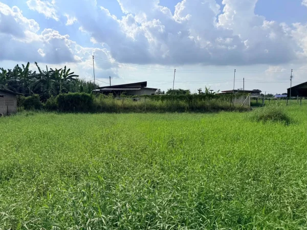 ขายด่วนที่ดิน 182 ตรว เหมาะสร้างบ้านสวน ต.สวนป่าน อ.เมืองนครปฐม จ.นครปฐม ภาพที่ 5