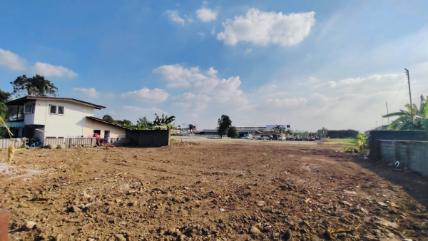 ที่ดินให้เช่า ติดถนนเทพรักษ์ ตัดใหม่ 12 ไร่ ติดร้าน ป.กุ้งเผา ทำเลดีติดถนนใหญ่ เจ้าของโพสเอง)