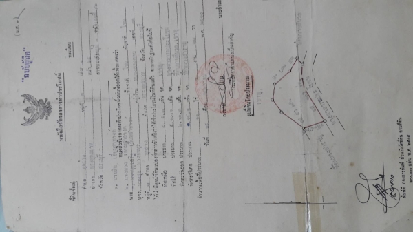 ขายที่ดิน 11.ไร่ 1 งาน 30 ตร.วา หลังติดเขา หน้าติดถนนคอนกรีต 