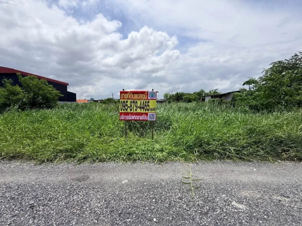 ขายด่วนที่ดินบางแก้ว 100 ตรว ติดถนนสาธารณะ ซ.หมู่บ้านเดอวิลล์ บางพลี สมุทรปราการ