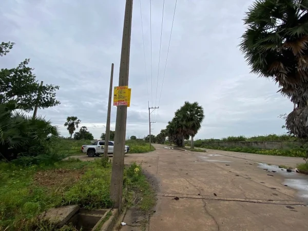 ขายต่ำกว่าประเมินที่ดิน 266 ตรว ติดถนนคอนกรีต ต.บ้านงิ้ว อ.สามโคก จ.ปทุมธานี