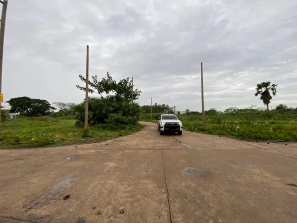 ขายต่ำกว่าประเมินที่ดิน 266 ตรว ติดถนนคอนกรีต ต.บ้านงิ้ว อ.สามโคก จ.ปทุมธานี