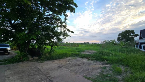 ขายด่วนที่ดินใกล้รร.บ้านคลองฝรั่ง 355 ตรว ติดถนนสาธารณะ ถมแล้ว ซ.รร.บ้านคลองฝรั่ง ไทรน้อย นนทบุรี