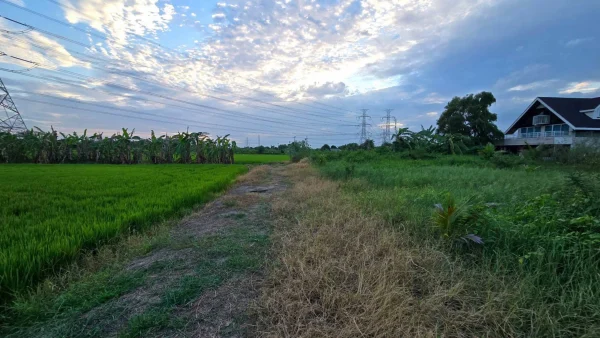 ขายด่วนที่ดินใกล้รร.บ้านคลองฝรั่ง 355 ตรว ติดถนนสาธารณะ ถมแล้ว ซ.รร.บ้านคลองฝรั่ง ไทรน้อย นนทบุรี
