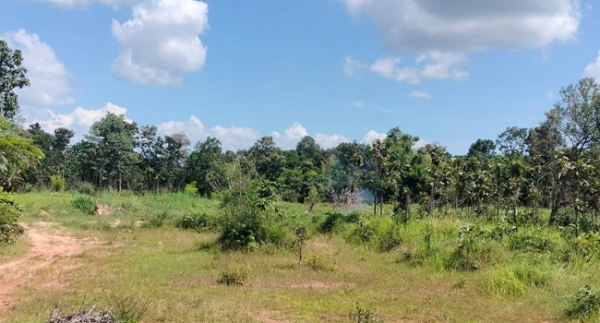 ขายด่วนนน ที่ดินอุบลฯ ถูกกกกมาก 5 ไร่ เพียง 800,000 บาท ที่ดินสวย ทำเลดี