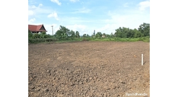 ขายที่ดิน 3 แปลงติดกัน รวม 2 ไร่ 2 งาน  ซอยคลองสี่ตะวันออก 37  ต.คลองสี่  อ.คลองหลวง จ.ปทุมธานี ห่างจากวัดพระธรรมกาย 2 ก.ม	