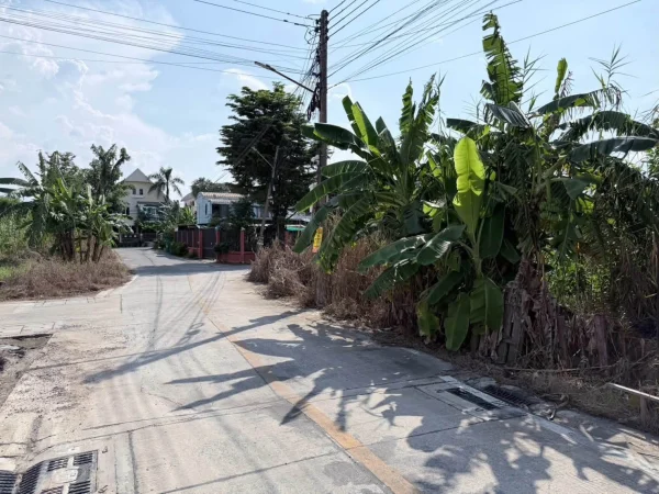 Vายที่ดิน 69 ตารางวา ติดถนนคอนกรีตสาธารณะ 2 ด้านแปลงมุม ชอย ทวีสุข บ้านกลาง เมืองปทุมธานี