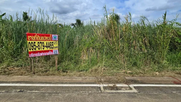 ขายด่วนที่ดิน 96 ตรว ติดถนนคอนกรีตสาธารณะ ซ.นายตึ๋ง บางกรวย นนทบุรี