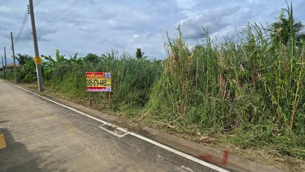 ขายด่วนที่ดิน 96 ตรว ติดถนนคอนกรีตสาธารณะ ซ.นายตึ๋ง บางกรวย นนทบุรี