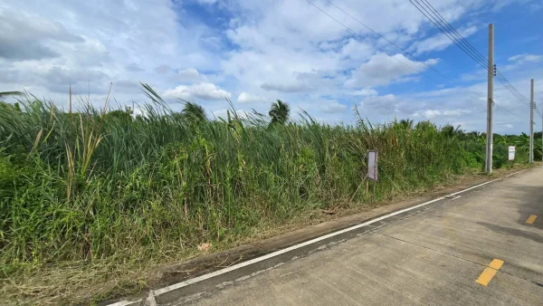 ขายด่วนที่ดิน 96 ตรว ติดถนนคอนกรีตสาธารณะ ซ.นายตึ๋ง บางกรวย นนทบุรี