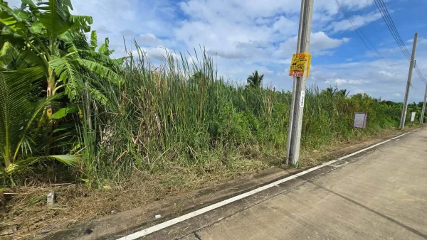 ขายด่วนที่ดิน 96 ตรว ติดถนนคอนกรีตสาธารณะ ซ.นายตึ๋ง บางกรวย นนทบุรี