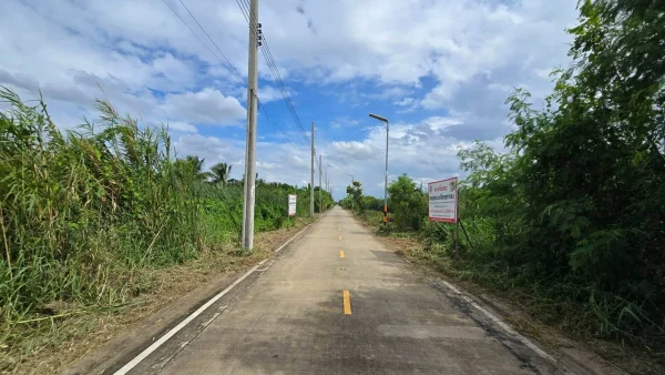 ขายด่วนที่ดิน 96 ตรว ติดถนนคอนกรีตสาธารณะ ซ.นายตึ๋ง บางกรวย นนทบุรี