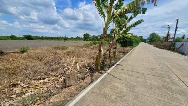 ขายด่วนที่ดิน 100 ตรว ติดถนนสาธารณะ ซ.วัดบัวสุวรรณประดิษฐ์ ลาดหลุมแก้ว ปทุมธานี