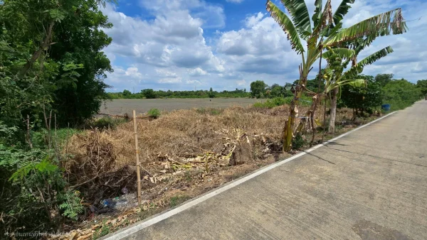 ขายด่วนที่ดิน 100 ตรว ติดถนนสาธารณะ ซ.วัดบัวสุวรรณประดิษฐ์ ลาดหลุมแก้ว ปทุมธานี