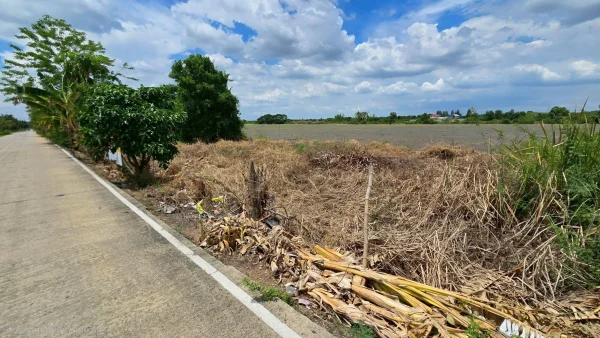 ขายด่วนที่ดิน 100 ตรว ติดถนนสาธารณะ ซ.วัดบัวสุวรรณประดิษฐ์ ลาดหลุมแก้ว ปทุมธานี