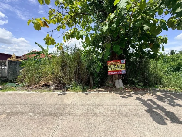 ขายด่วนที่ดินใกล้วัดเทียนดัด 151 ตรว ติดถนนสาธารณะ กระทุ่มแบน สมุทรสาคร