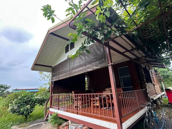 ขายบ้านพร้อมสวนผลไม้ ทำเลท่องเที่ยวนครนายก! จาก 2.5 ล้านบาท ลดเหลือเพียง 1.8 ล้านบาทเท่านั้น! ภาพที่ 4