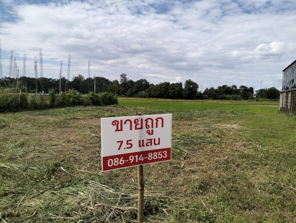 ขายด่วน ถูกมาก ที่ดินปรับถมแล้ว ในโครงการ บ้านสันมะนะ ต.ป่าอ้อดอนชัย อ.เมือง จ.เชียงราย 