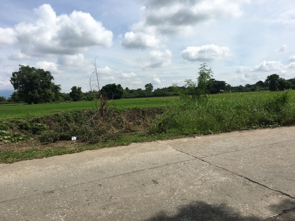 ขายที่หางดง20ไร่ๆละ2.8ล้าน  รวม 56 ล้าน ที่ดินเป็นที่นา ใกล้ถนน108ประมาณ200เมตร ใกล้สนามบิน15km ใกล้ห้งบิ๊กซี 500m ใกล้โรงเรียนนานาชาติเกรส 500 m ใกล้มหาวิทยาลัยนอร์ท. 500 m   โทรสอบถาม คุณ บุ๋ม 0903179683