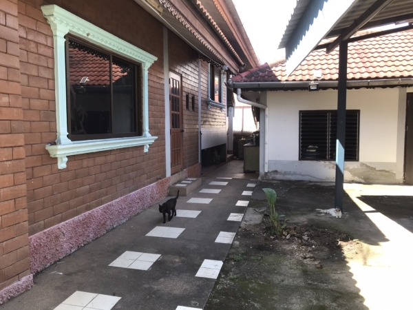 ขายบ้านใกล้เมือง 8 Km ต.หนองควาย อ.หางดง จ.เชียงใหม่) พื้นที่ 132 ตรว. ขายราคา4.5 ล้าน