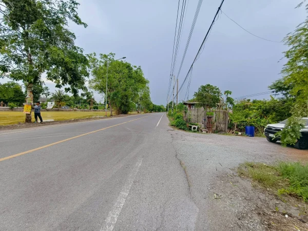 ขายถูกที่ดิน 200 ตรว ติดถนนสาธารณะ คลอง 12 หนองเสือ ปทุมธานี