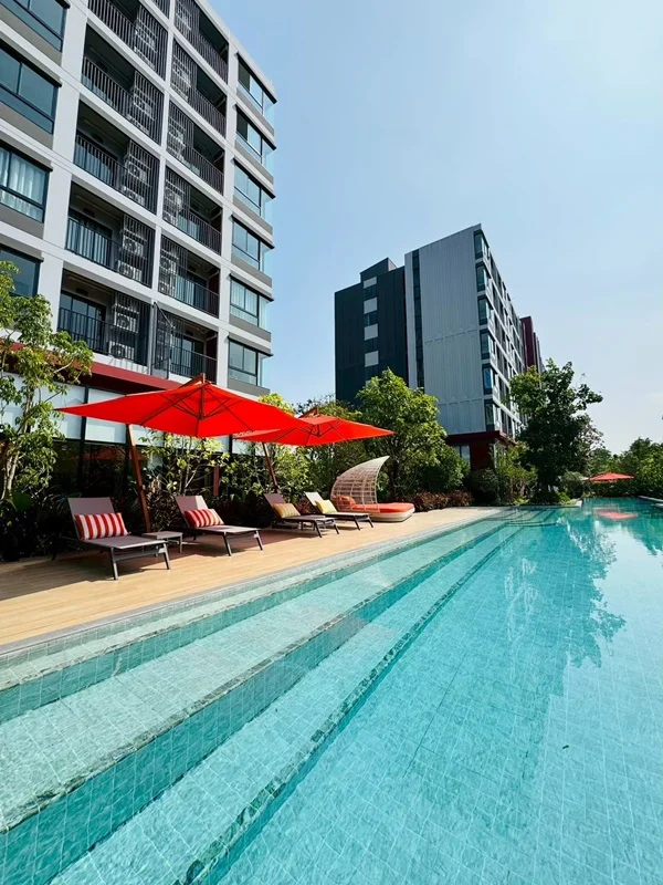 dcondo Vivid Rangsit คอนโดตรงข้าม ม.กรุงเทพ ข้ามสะพานลอย = ถึงมหาลัย พร้อมอยู่! โทร 061-616-1426