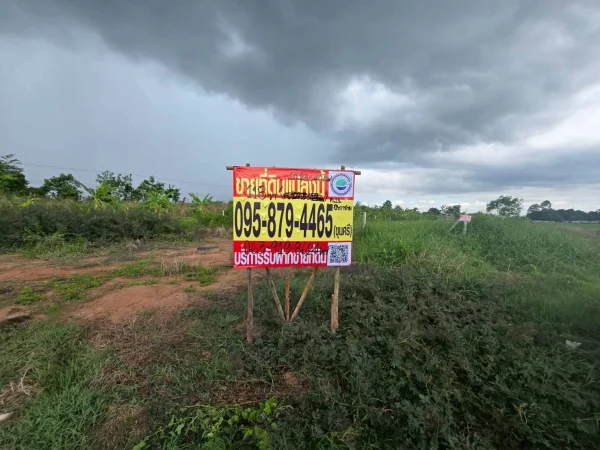 ขายที่ดินใกล้วัดป่าคลอง11 118 ตรว ติดถนนสาธารณะ ถมแล้ว คลอง 11 บึงกาสาม ปทุมธานี
