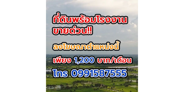 ขายที่ 19 ไร่ 2 งาน 33 ตารางวาโฉนดครุฑแดงที่ดินห่างจากเส้นหลักป่าหวายสวนผึ้ง 2