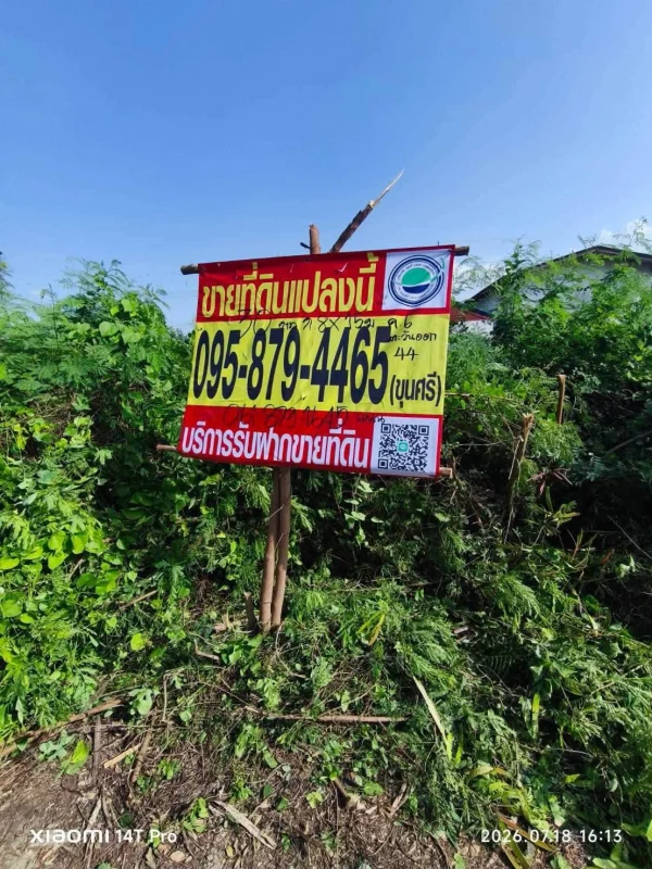ขายด่วนที่ดินคลองหก 30 ตรว ติดถนนสาธารณะ ซ.คลองหกตะวันออก 44 คลองหลวง ปทุมธานี
