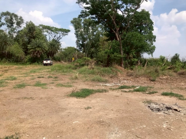 ขายด่วน ที่ดินคลองสิบสาม 200 ตารางวา ถมแล้วทั้งแปลง ติดถนนสาธารณะ เขตหนองจอก กรุงเทพมหานคร