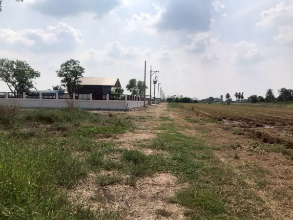 ขายด่วน ที่ดินคลองสิบสาม 200 ตารางวา ถมแล้วทั้งแปลง ติดถนนสาธารณะ เขตหนองจอก กรุงเทพมหานคร