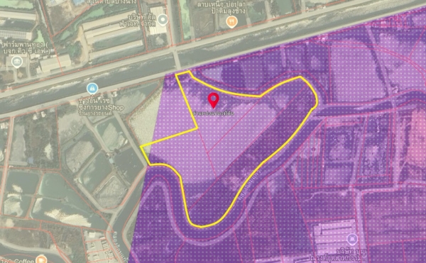 ขายที่สีม่วง 46 ไร่ ใกล้ถนนเลียบมอเตอร์เวย์ สาย 7 ใกล้นิคมอมตะ ชลบุรี  ต.บางนาง อ.พานทอง จ.ชลบุรี