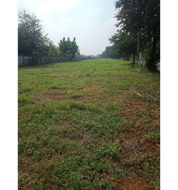 ขายที่ดินทำเลรามคำแหง ซอย 150