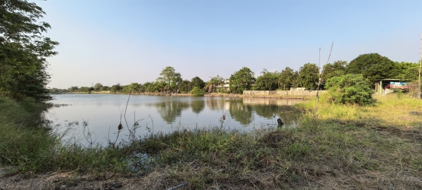 ที่ดินพร้อมบ้านเดี่ยว 18ไร่ ซอยวัดสุขใจ8 รามอินทรา