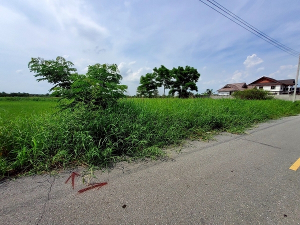 ขายถูกที่สุด ที่ดินคลองแปด 1 ไร่ ติดถนนลาดยาง ถมแล้วทั้งแปลงซอย บึงบอน 3 อ.หนองเสือ จ.ปทุมธานี