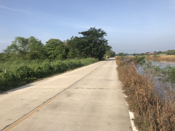 ขาย ที่ดิน 200 ตรว. คลอง7 ฝั่งตะวันออก หนองเสือ ปทุมธานี