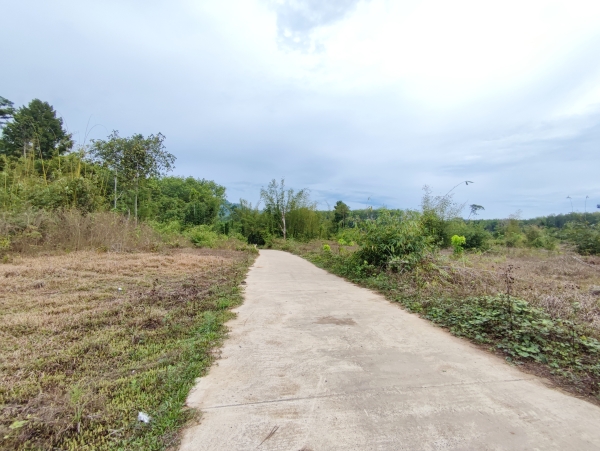 ขายที่ดินเปล่า