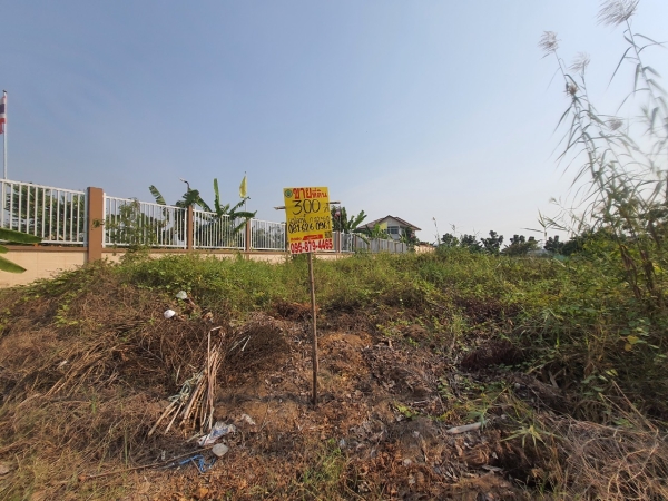 ขายที่ดินกระทุ่มแบน 300 ตร.ว ถมแล้วทั้งแปลง ต.แคราย ถ.พุทธสาคร จ.สมุทรสาคร